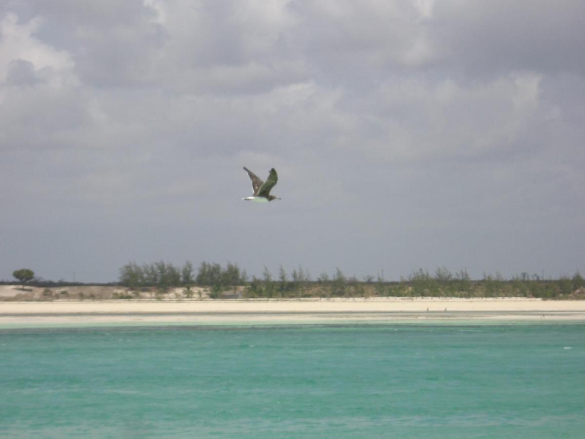 Chiky Villa Watamu Exteriör bild